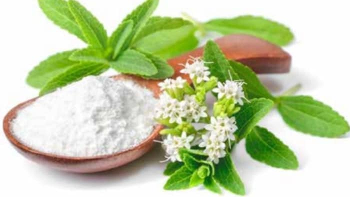 herbal sugar stevia
