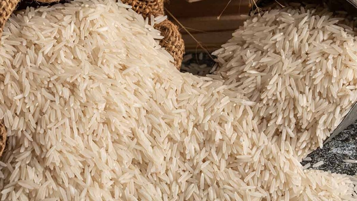 basmati rice GI tag appeal APEDA 