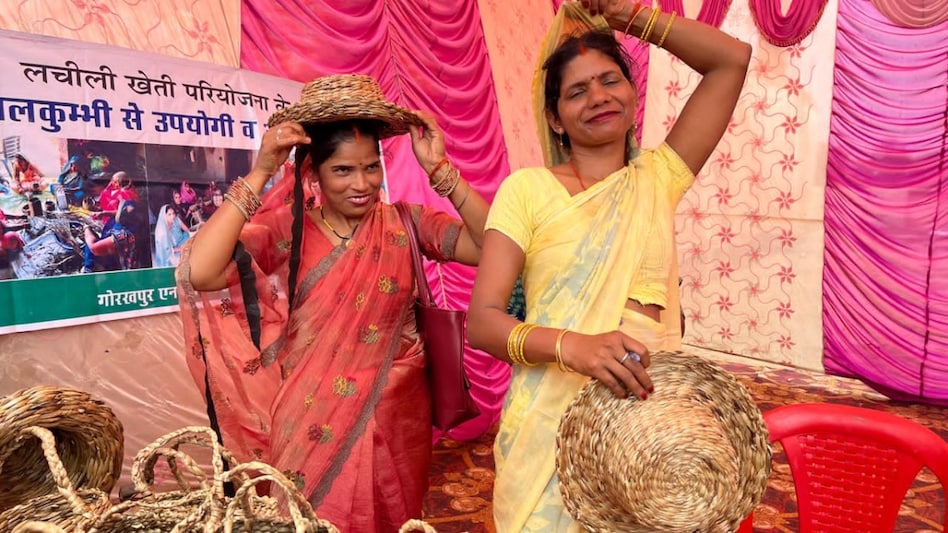 जलकुंभी से बदली तकदीर: गोरखपुर की महिलाओं ने खरपतवार से खड़ा किया इको-फ्रेंडली कारोबार जलकुंभी से बदली तकदीर: गोरखपुर की महिलाओं ने खरपतवार से खड़ा किया इको-फ्रेंडली कारोबार