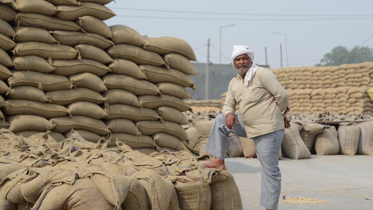 यूपी में गेहूं खरीद पर बड़ी राहत, बिना फार्मर रजिस्ट्री भी बेच सकेंगे उपज