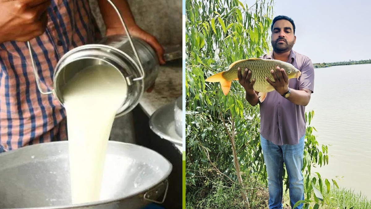 up international trade show 2026 from september 25 dairy fisheries and food processing will be attraction