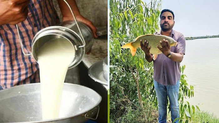 up international trade show 2026 from september 25 dairy fisheries and food processing will be attraction