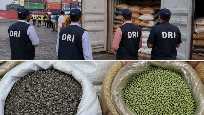 DRI On Watermelon Seeds and Green Peas Seizure