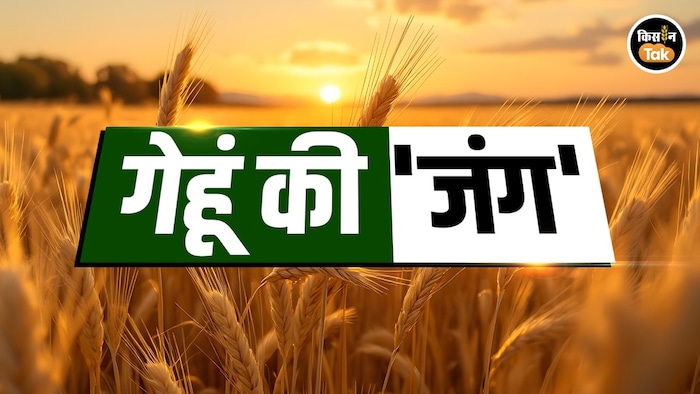 India wheat export policy change
