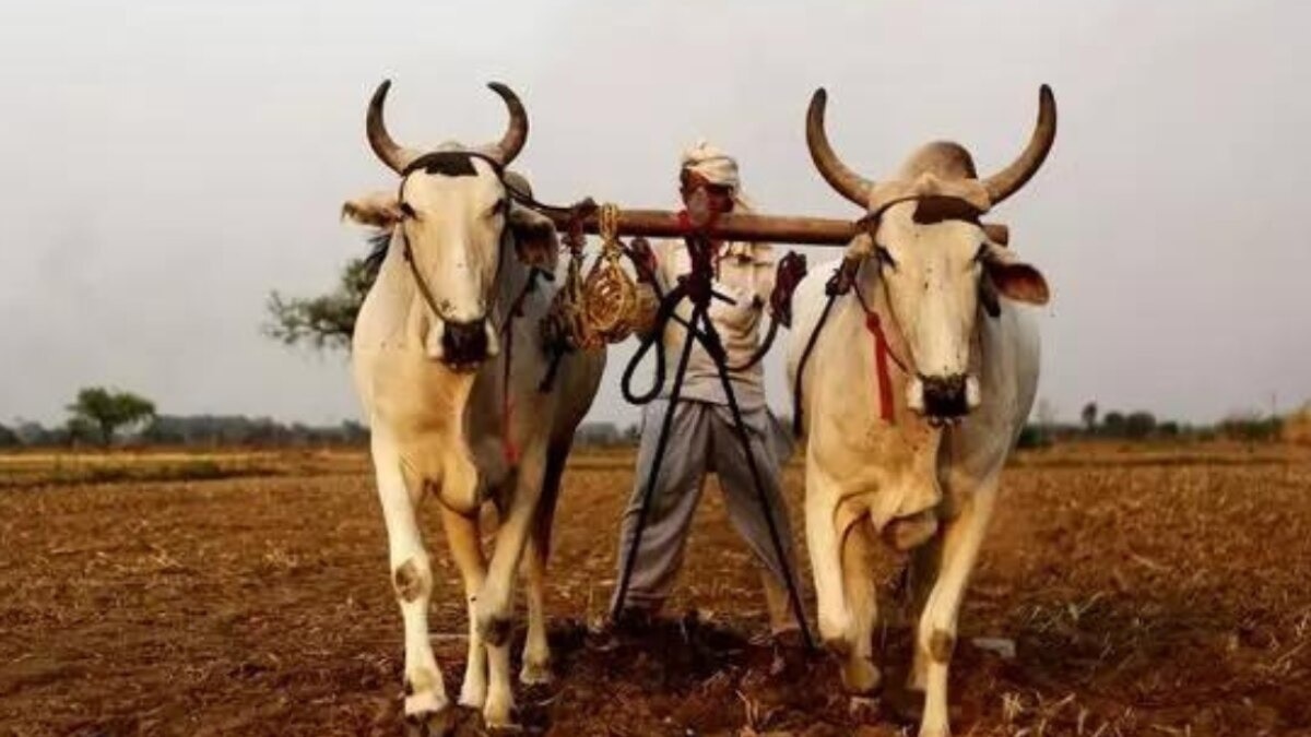 899 farmer suicide case in marathwada