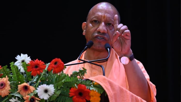 yogi government roadmap over cow protection up chief secretary sp goyal issued directionमुख्यमंत्री योगी आदित्यनाथ के कारण प्रदेश के 'गो संरक्षण' को नई दिशा मिल रही है