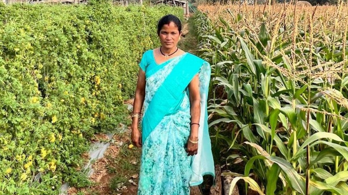 Sidai Netam CG Bihan Yojana