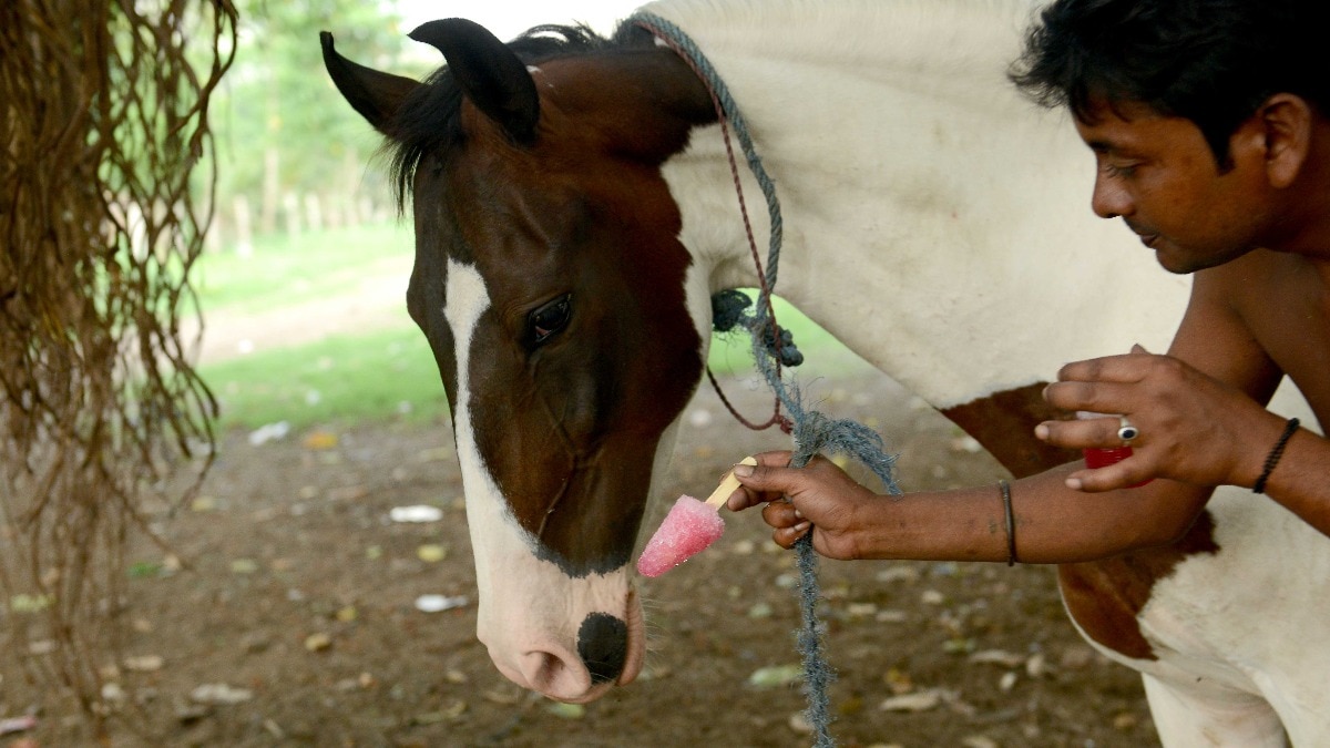 खेती पर गर्मी का खतरा बढ़ता जा रहा है
