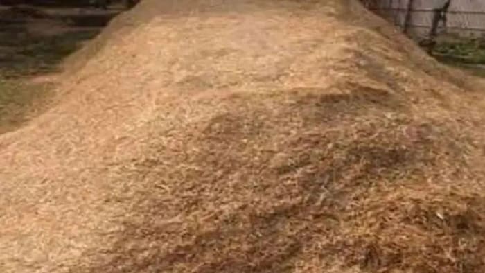 animal feed Wheat Straw