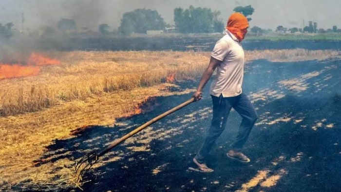 पराली जलाने की घटनाओं में वृद्धि