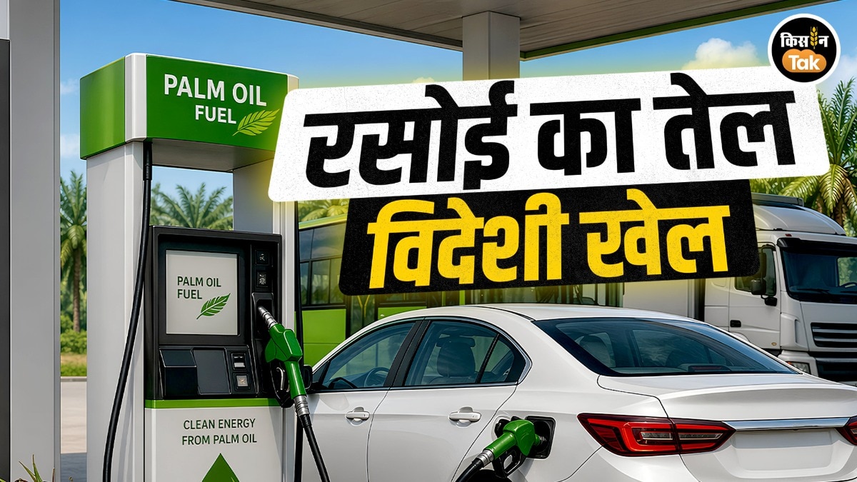 बायोडीजल की 'बलि' चढ़ेगा खाद्य तेल, इंडोनेशिया-मलेशिया के 'ऑयल गेम' में फंसा भारत 
