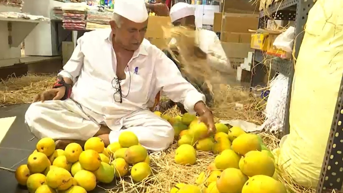 Mango Varieties: भारत के 7 सबसे स्वादिष्ट आम, जानिए कौन सा है ‘आमों का राजा’
