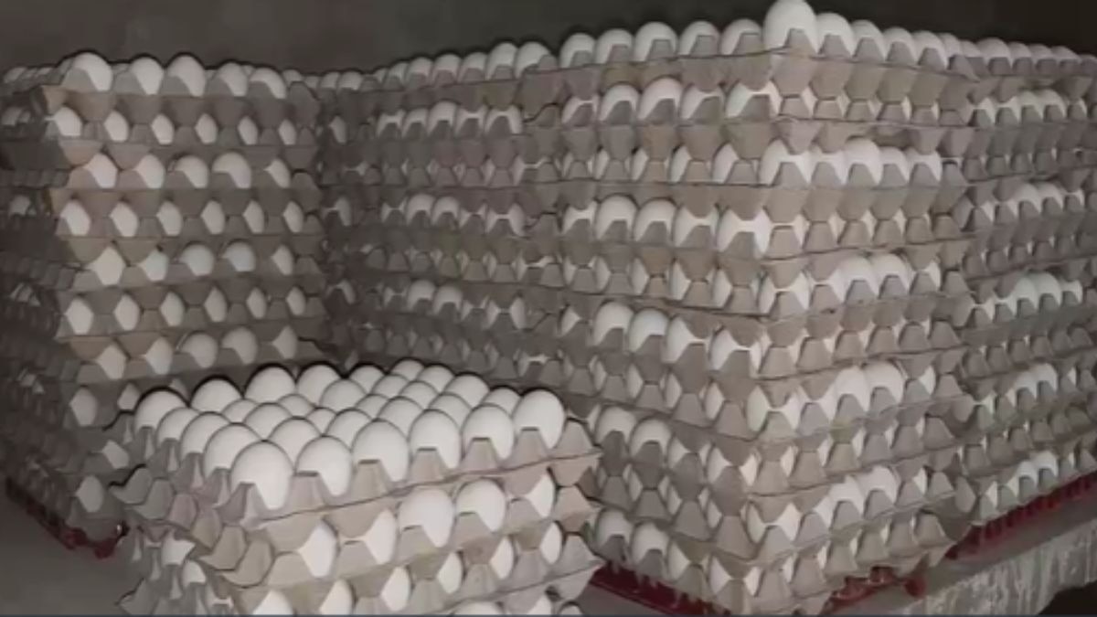 अंडा उत्पादन में बना नंबर-1