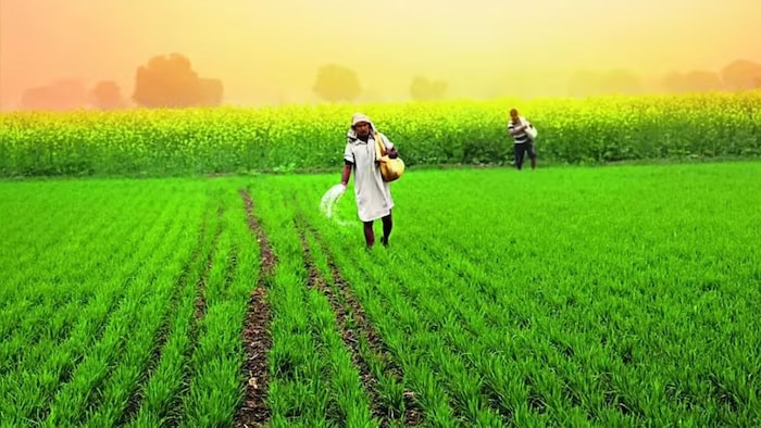 खाद के सही इस्तेमाल पर सरकार का बड़ा अभियान