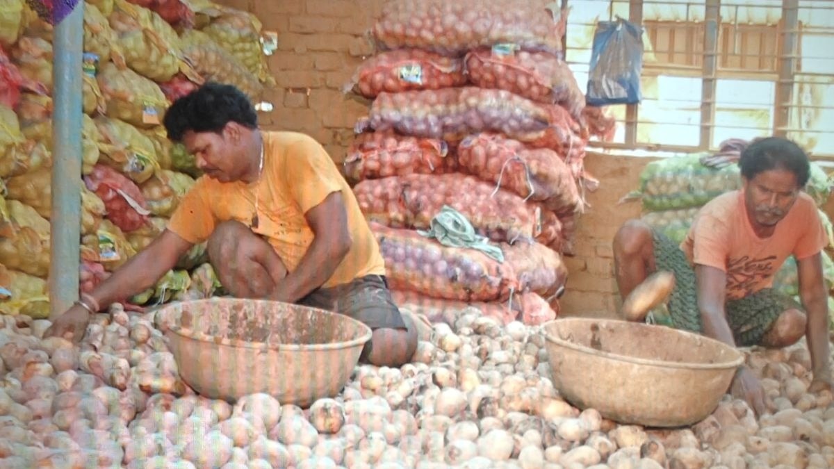 आलू किसानों पर संकट