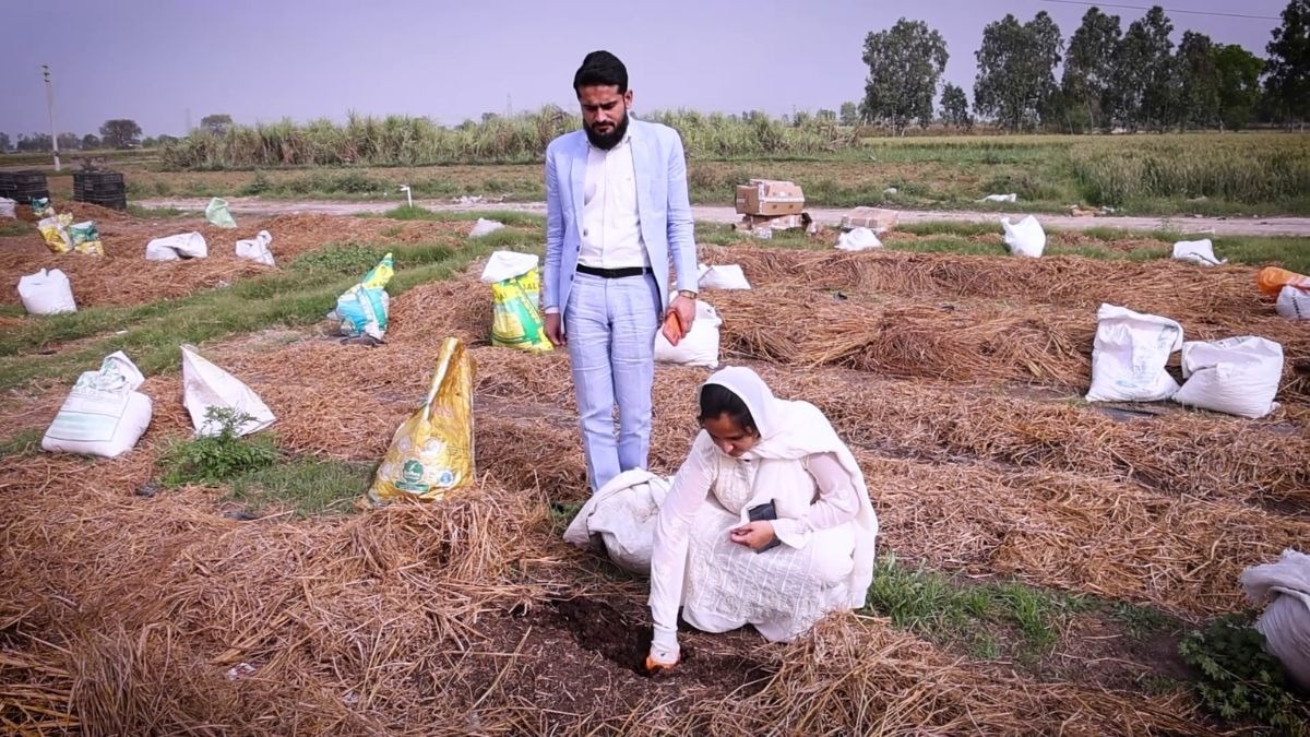 फूलों की खेती