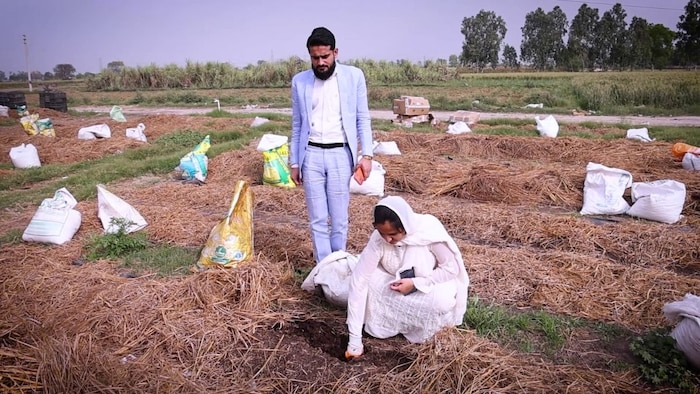 फूलों की खेती