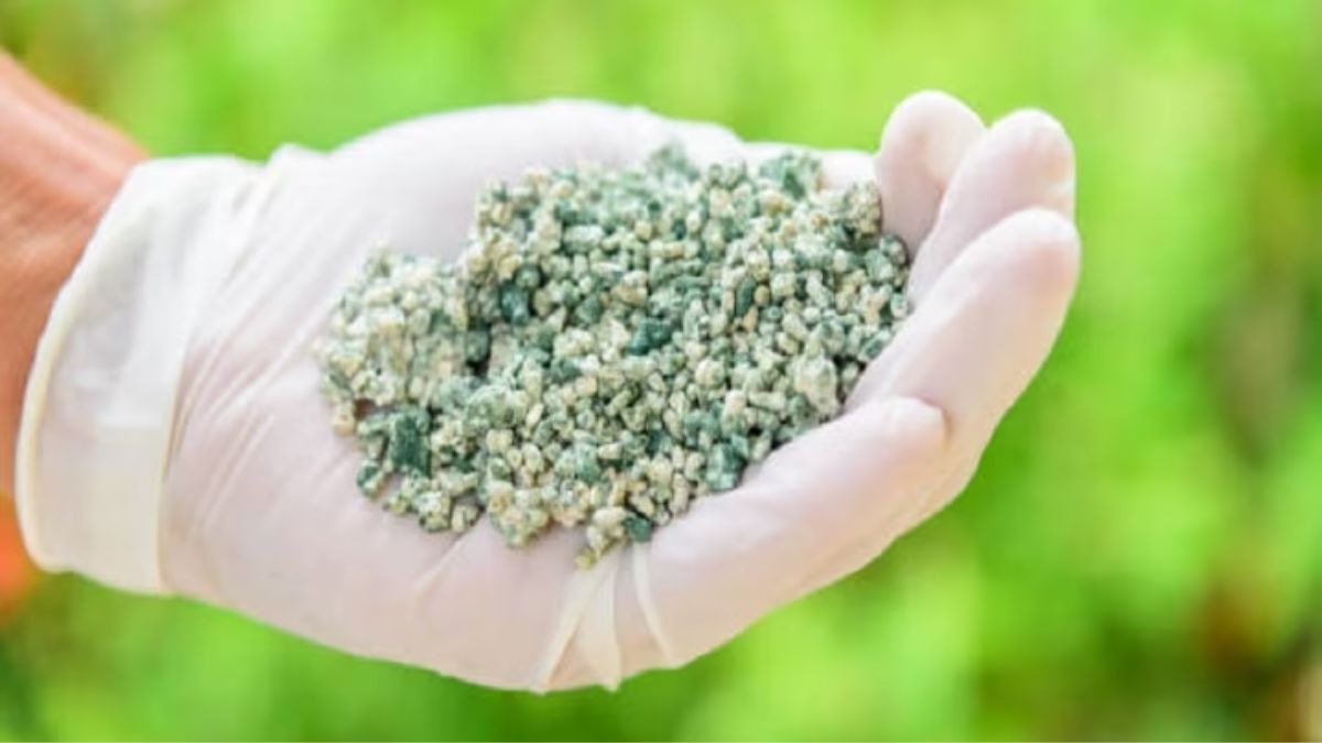 अब नहीं होगी खाद की कमी, भारत-रूस मिलकर बनाएंगे मेगा यूरिया प्लांट, 20 लाख टन का होगा उत्पादन