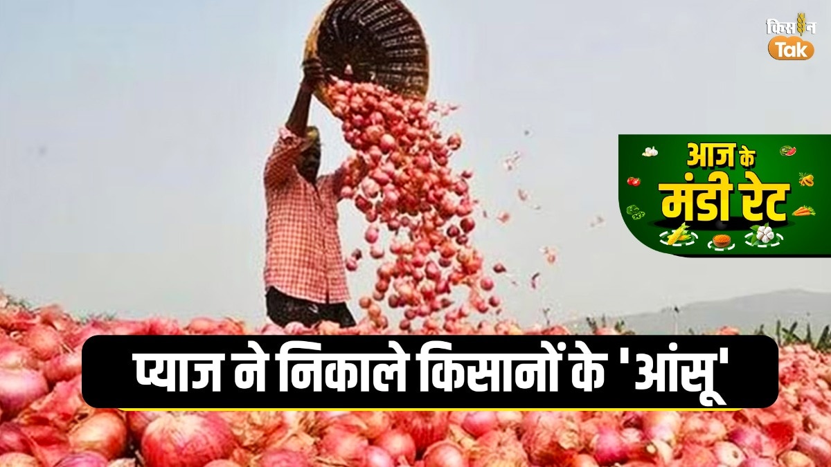 प्याज किसानों पर दोहरी मार: लागत से भी नीचे गिरे दाम, फसल फेंकने को मजबूर