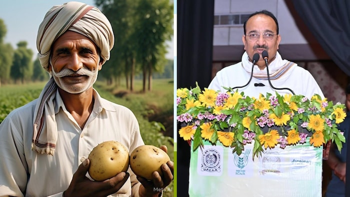 लखनऊ और फर्रुखाबाद में आलू की खरीद शुरू