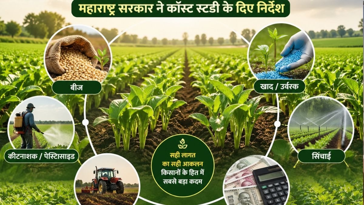 Maharashtra State CACP Cost Study