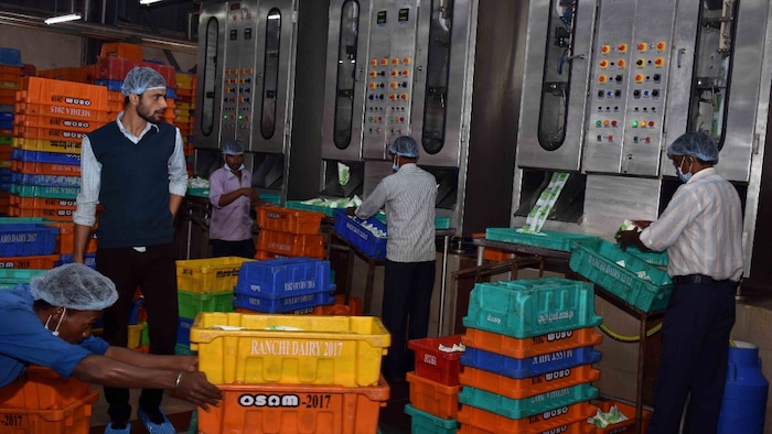 मिल्मा ने दूध के दाम बढ़ाए (सांकेतिक तस्वीर)