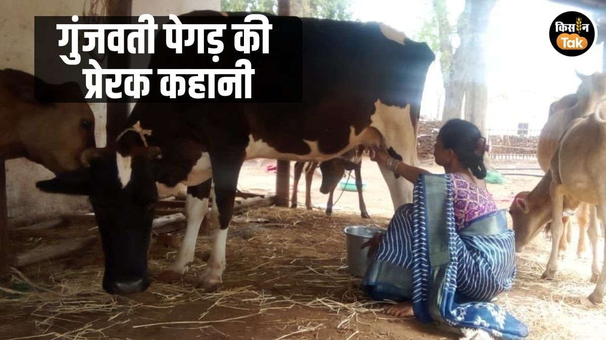 गुंजवती पेगड़ बनीं ‘लखपति दीदी’