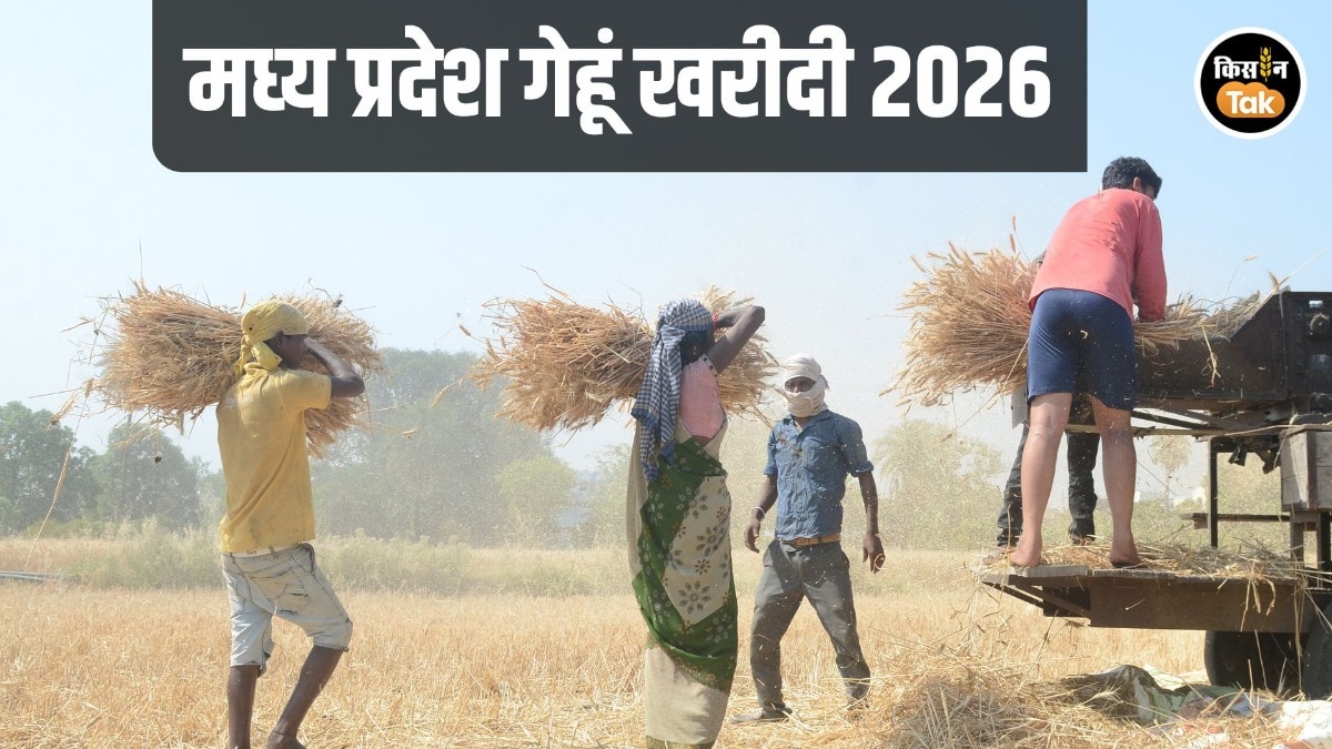 MP Wheat Procurement Slot Booking
