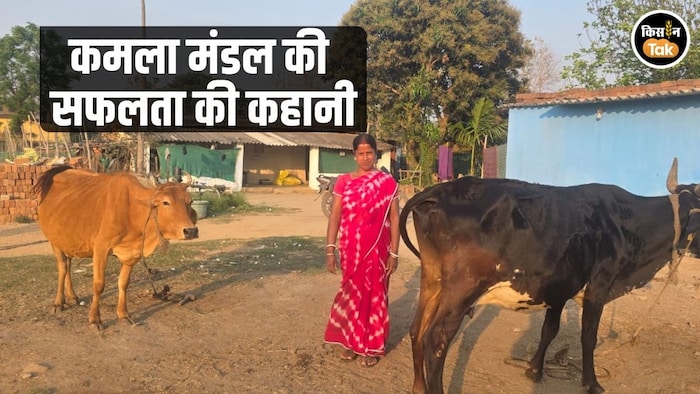 छत्तीसगढ़ की कमला मंडल बनीं मिसाल