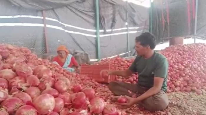 प्याज किसानों पर संकट