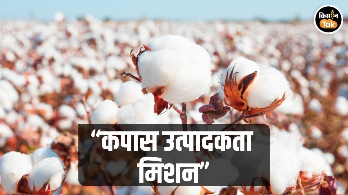 कपास उत्पादकता मिशन