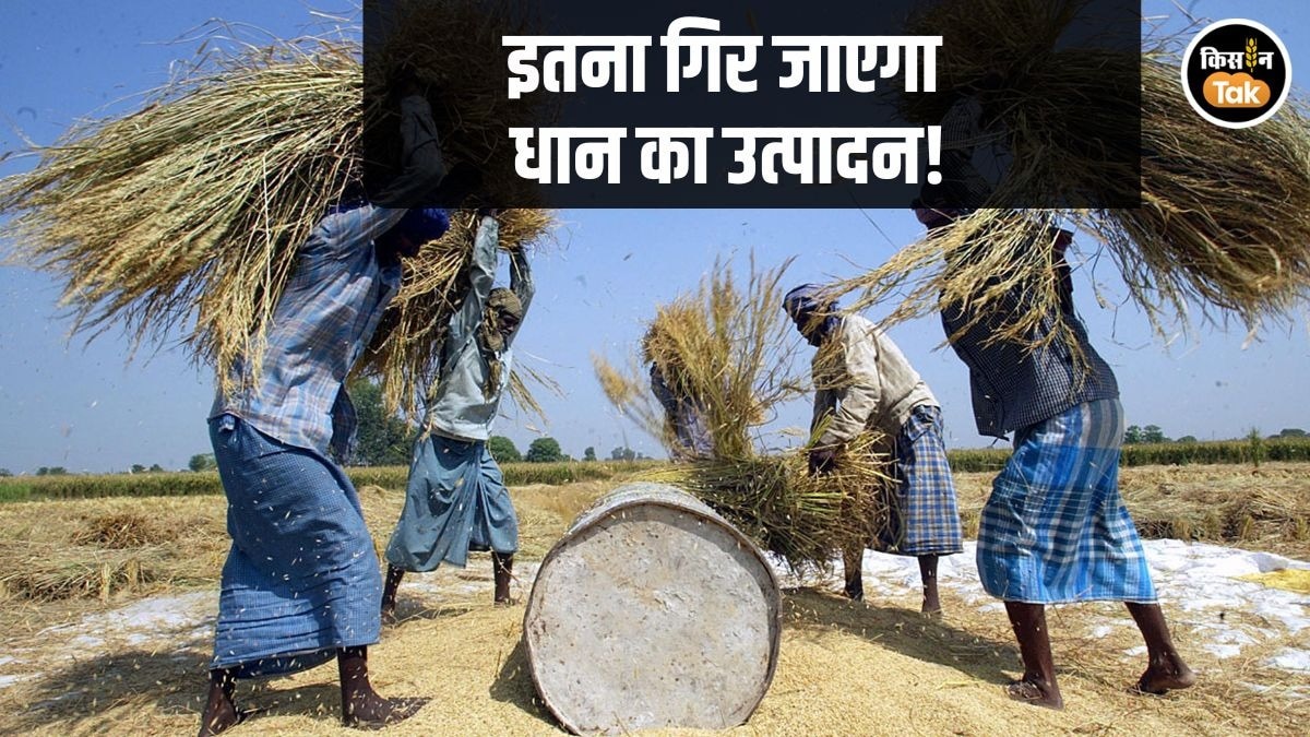 Paddy Crop Production Decline ICAR NICRA Report
