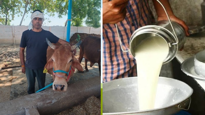 uttar pradesh youth crazes in dairy business farmer devendra singh of mathura become lakhpati