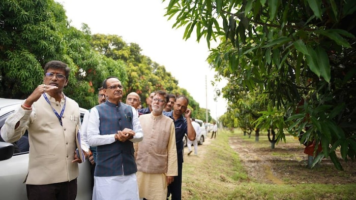 mango farmers union of lucknow given letter to central agriculture minister shivraj singh chouhanआम उत्पादक एवं बागवानी समिति ने सौंपा मंत्री शिवराज सिंह चौहान को मांग पत्र