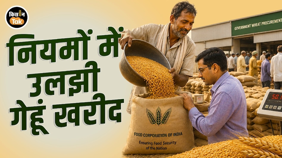 Wheat Procurement: गेहूं खरीद के अपने ही लक्ष्य को पूरा नहीं कर पाती है सरकार, पढ़ें डिटेल Wheat Procurement: गेहूं खरीद के अपने ही लक्ष्य को पूरा नहीं कर पाती है सरकार, पढ़ें डिटेल