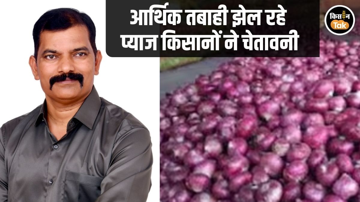Onion Crisis: कौड़ियों के भाव बिक रहा प्याज, 1500 रुपये क्विंटल सब्सिडी की मांग, संगठन ने दी सरकार को चेतावनी