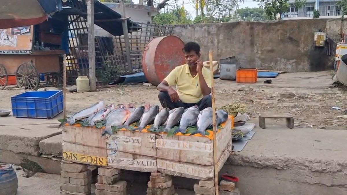 मॉडर्न फिश मार्केट