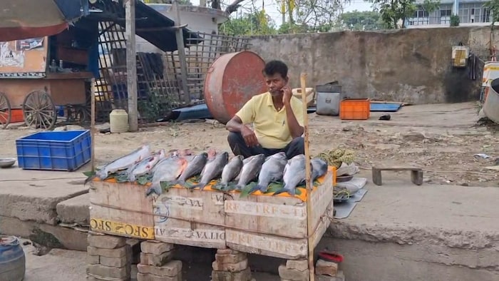 मॉडर्न फिश मार्केट