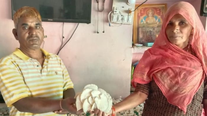 Mushroom Farmer Lal Singh Meena