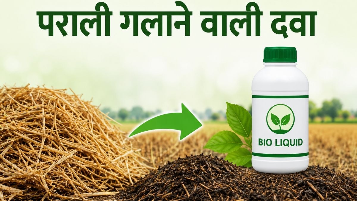 पराली संकट का पक्का इलाज