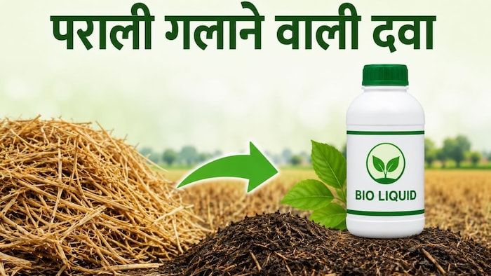 पराली संकट का पक्का इलाज