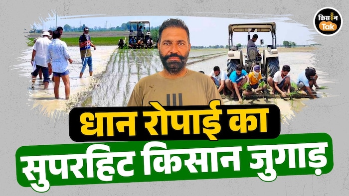 paddy transplanting jugaad
