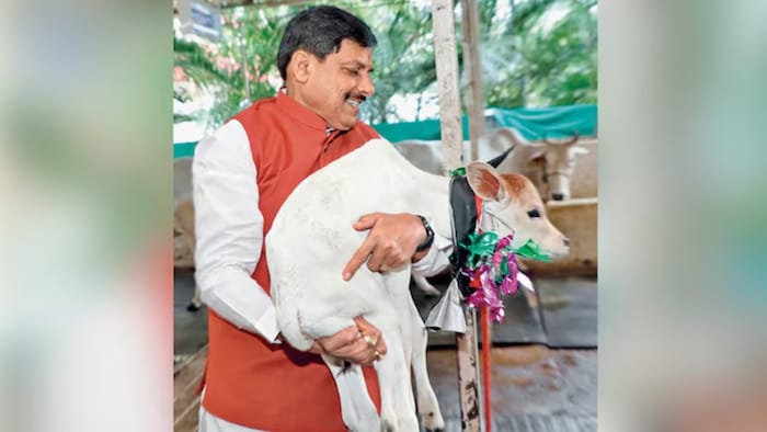 India Dairy Sector Growth,