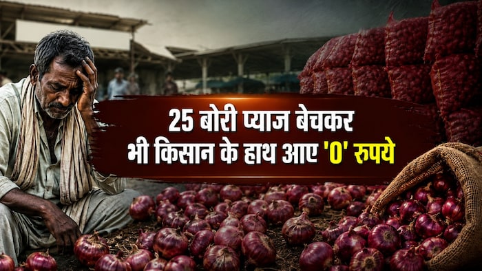onion price crash
