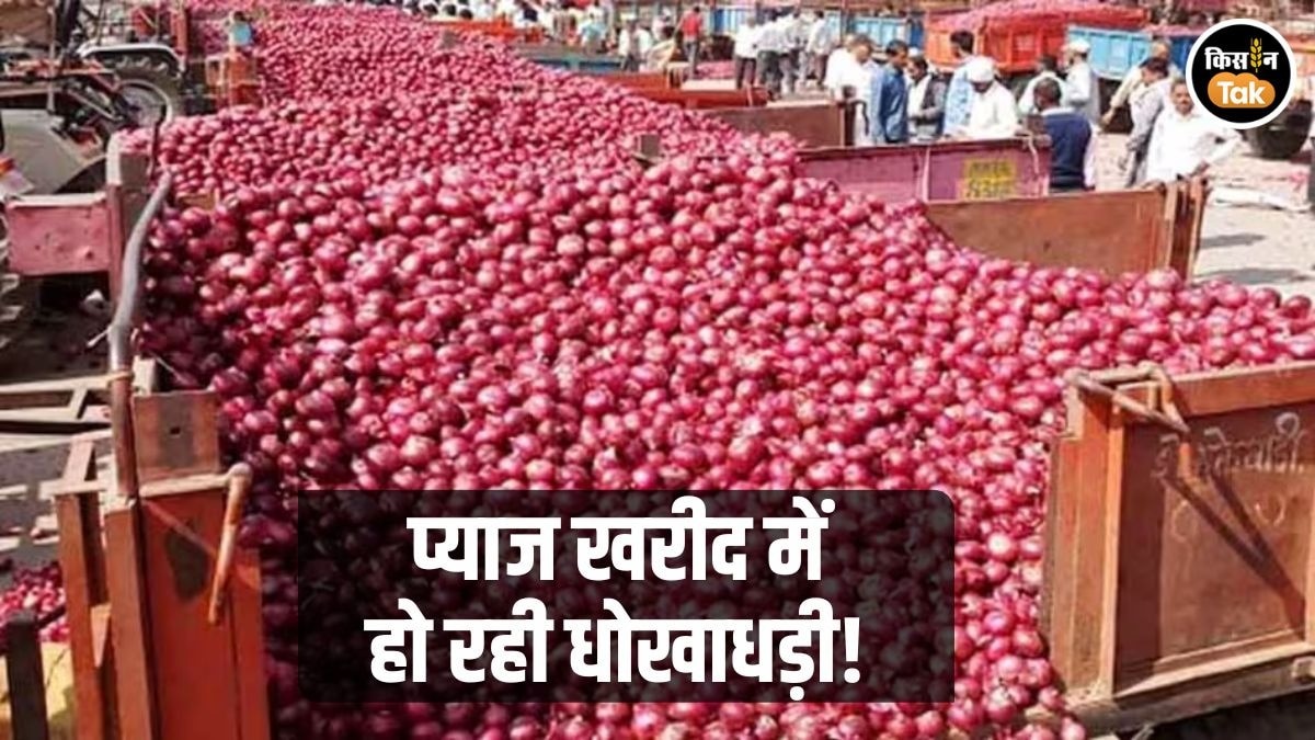 प्याज के दामों से नाराज किसान: मंडी के बाहर ट्रैक्टर‑भर उपज फेंकी, APMC भंग करने की मांग