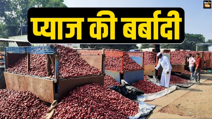 प्याज की कटाई के बाद भी किसानों को उठाना पड़ता है नुकसान