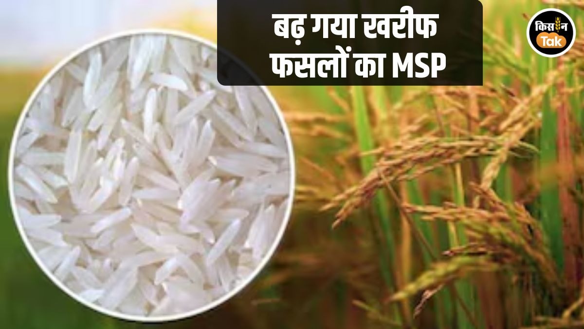 Kharif Crop MSP Hike 