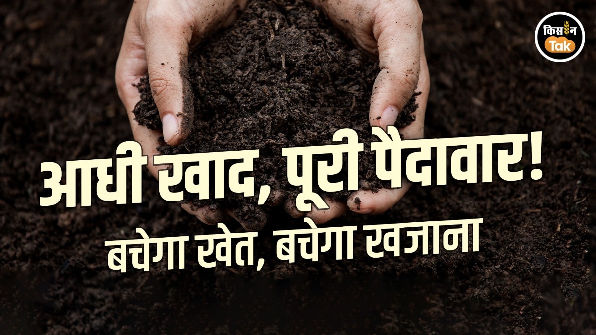 organic farming in India