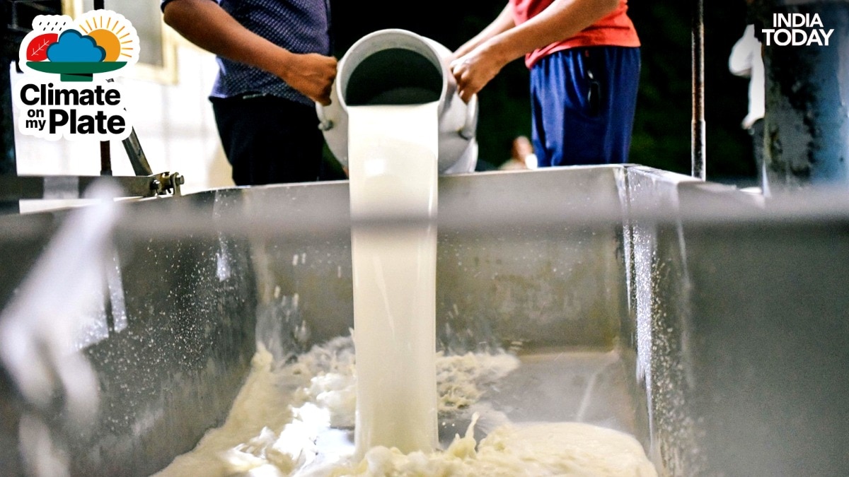 No sweets, ghee, dairy: India's milk is at risk from a warming world