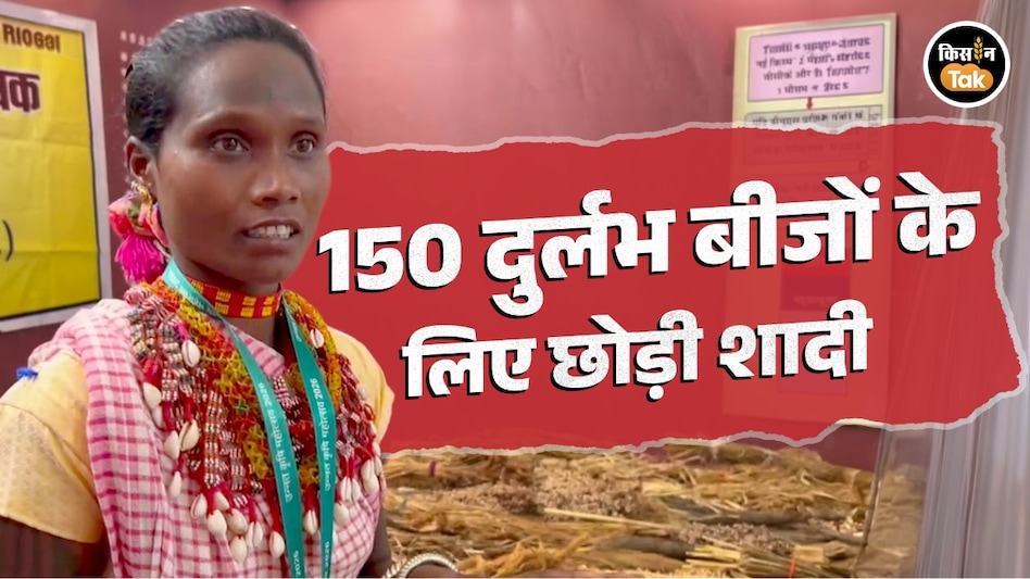 शादी नहीं, 150 दुर्लभ बीजों को बचाना चुना; मिट्टी के घर में बनाया अनोखा ‘मिलेट बैंक शादी नहीं, 150 दुर्लभ बीजों को बचाना चुना; मिट्टी के घर में बनाया अनोखा ‘मिलेट बैंक